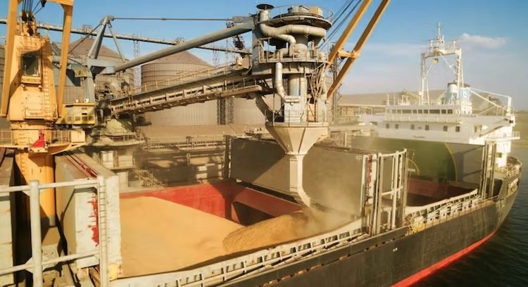 Grain being loaded onto a cargo ship